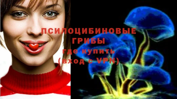 прущие грибы Арсеньев