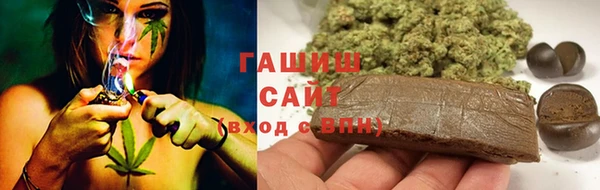 прущие грибы Арсеньев