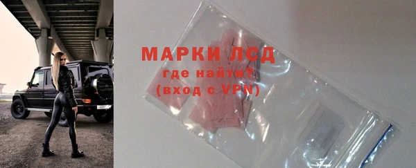 прущие грибы Арсеньев