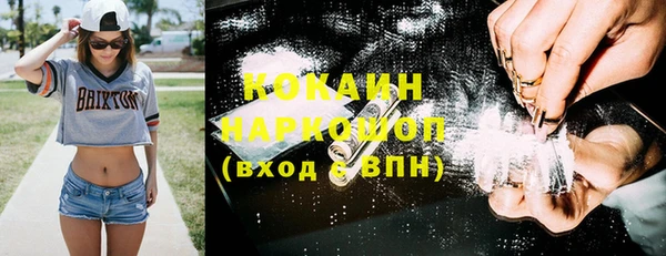 прущие грибы Арсеньев