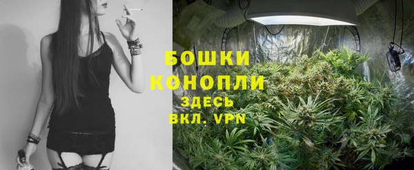 прущие грибы Арсеньев