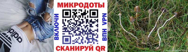 Псилоцибиновые грибы Psilocybe  shop клад  Холмск  купить наркотики сайты  кракен  